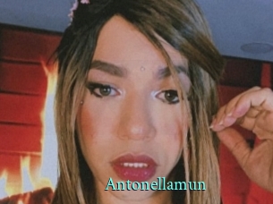 Antonellamun