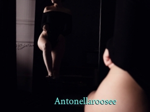 Antonellaroosee