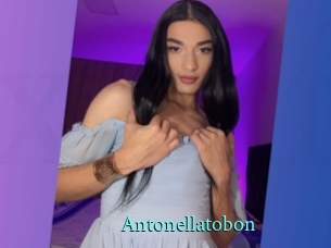 Antonellatobon
