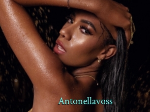antonellavoss xxx Fantasy Land