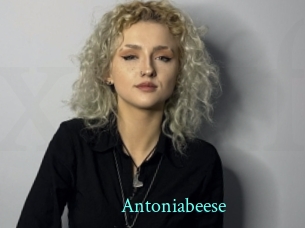 Antoniabeese