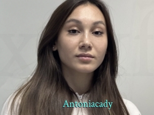 Antoniacady