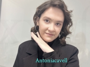 Antoniacavell