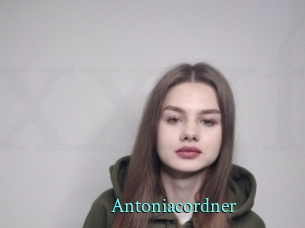 Antoniacordner