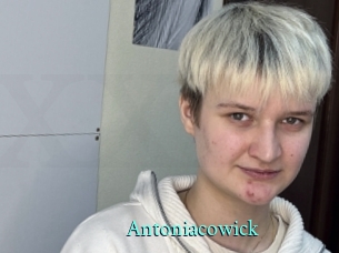 Antoniacowick