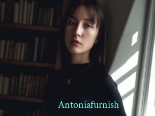 Antoniafurnish