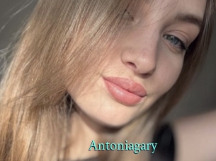 Antoniagary