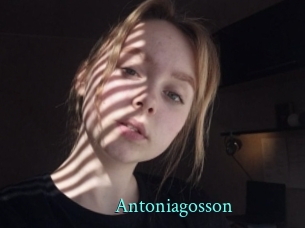 Antoniagosson