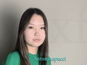 Antoninapucci