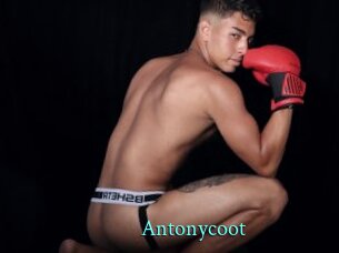 Antonycoot