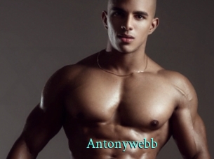 Antonywebb