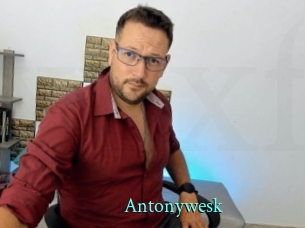 Antonywesk