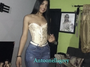 Antoonellagrey