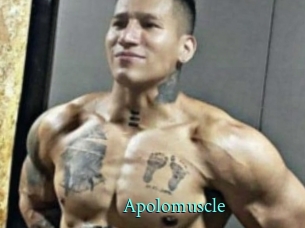 Apolomuscle