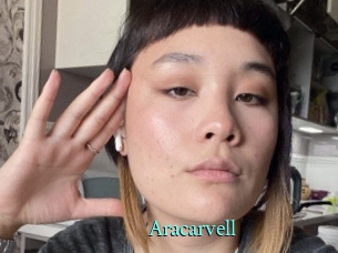 aracarvell xxx Fantasy Land
