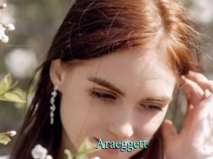 araeggett xxx Fantasy Land
