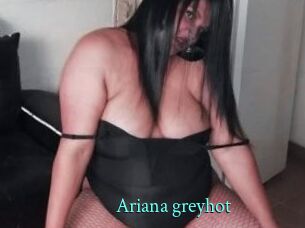Ariana_greyhot