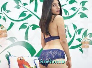 arielnorris xxx Fantasy Land