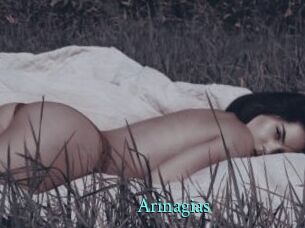 arinagias xxx Fantasy Land