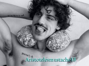 Aristotelesmustache18