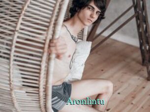 aronlintu xxx Fantasy Land