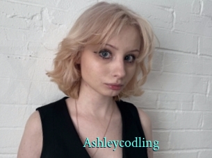 Ashleycodling