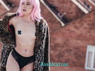 Asshleyrose