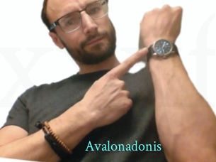 Avalonadonis