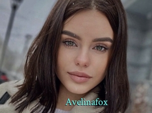 Avelinafox