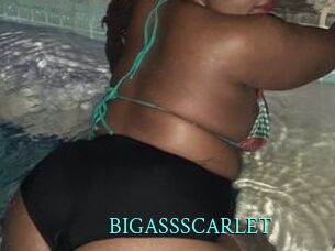 BIGASSSCARLET