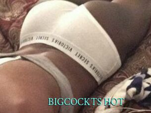BIGCOCKTS_HOT