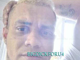 BIGDICKFORU4