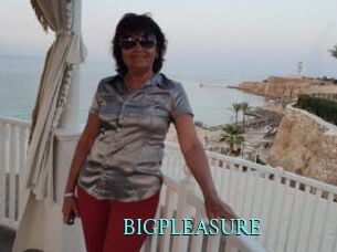 BIGPLEASURE
