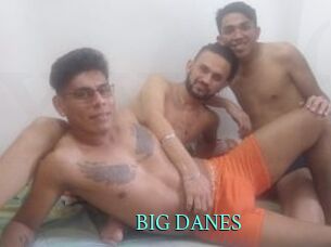 BIG_DANES