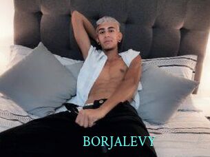 BORJALEVY