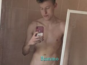 Bammo