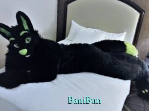 BaniBun