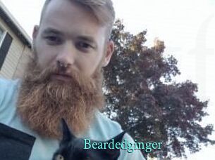 Beardedginger