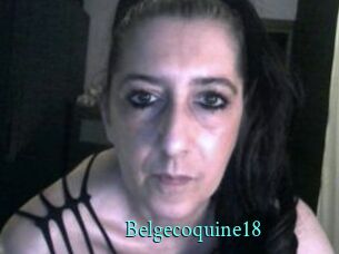 Belgecoquine18 xxx Fantasy Land
