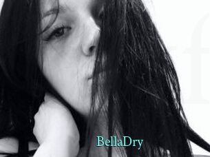 BellaDry