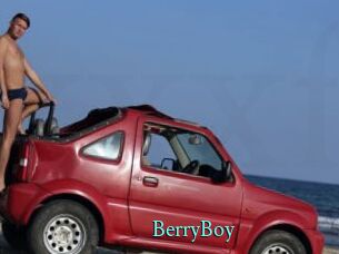 BerryBoy