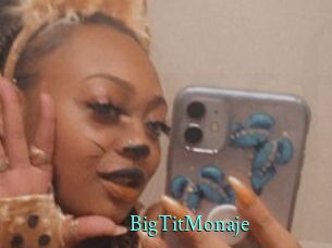 BigTitMonaje
