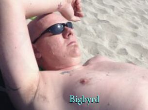 Bigbyrd