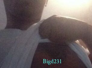 Bigd231 xxx Fantasy Land
