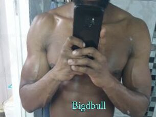 Bigdbull