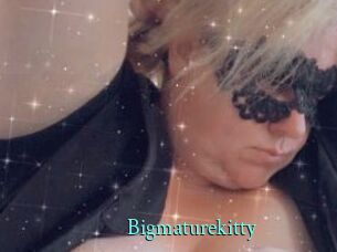 Bigmaturekitty