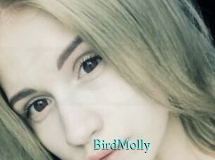 BirdMolly