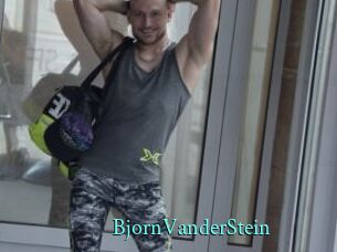BjornVanderStein