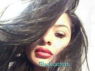 Blackcatforu
