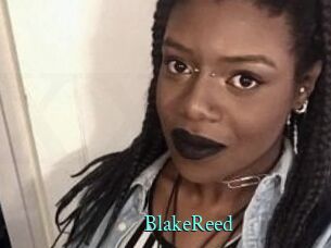 Blake_Reed xxx Fantasy Land